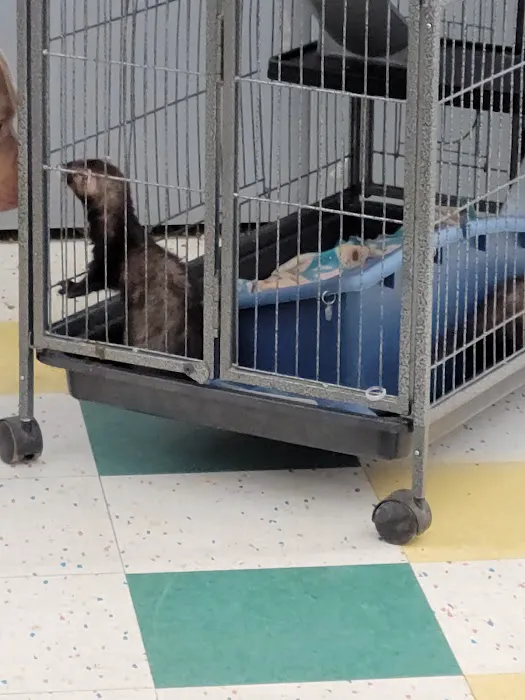 Pet Supplies Plus Okemos Picture 7