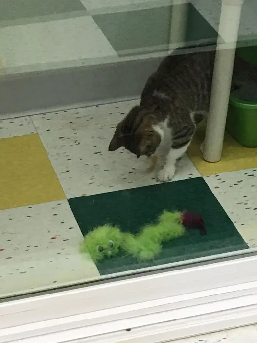Pet Supplies Plus Okemos Picture 9