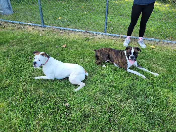 Pequannock Animal Hospital Picture 5