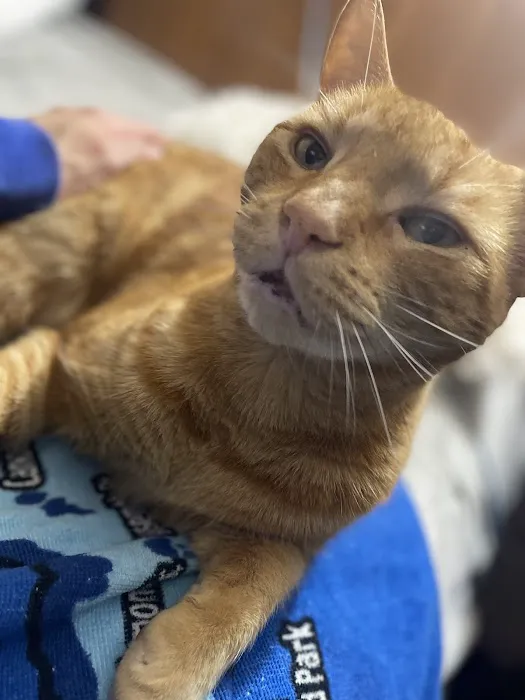 Pequannock Animal Hospital Picture 4