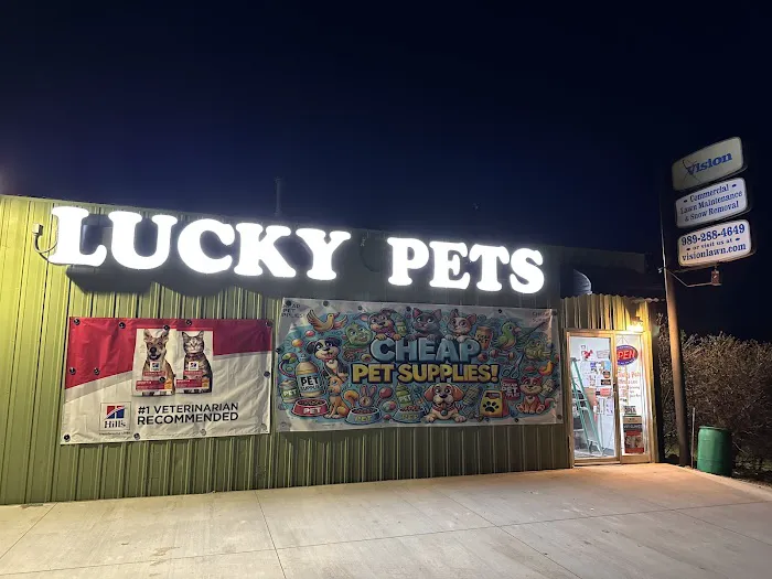 Lucky Pets Picture 6