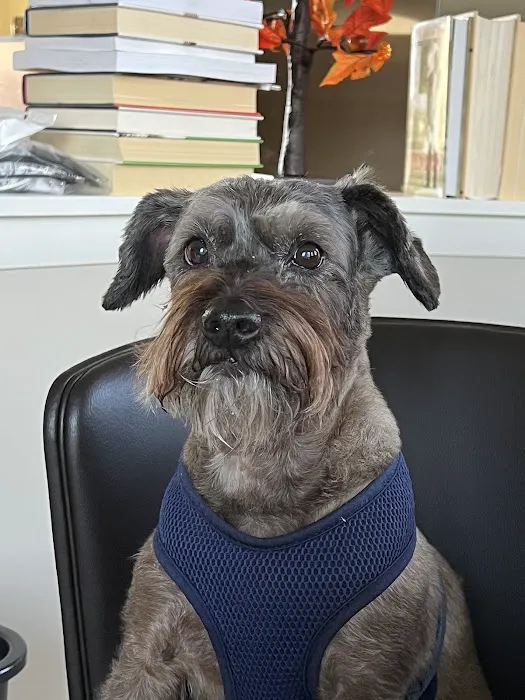 Willowbrook Animal Clinic Picture 1