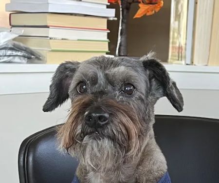 Willowbrook Animal Clinic