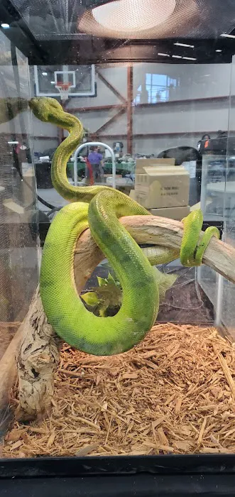 BRM EXOTICS EXPO Picture 2
