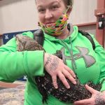 BRM EXOTICS EXPO