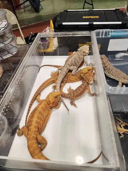 BRM EXOTICS EXPO Picture 9