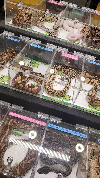 BRM EXOTICS EXPO Picture 7