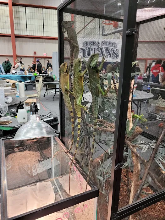 BRM EXOTICS EXPO Picture 6