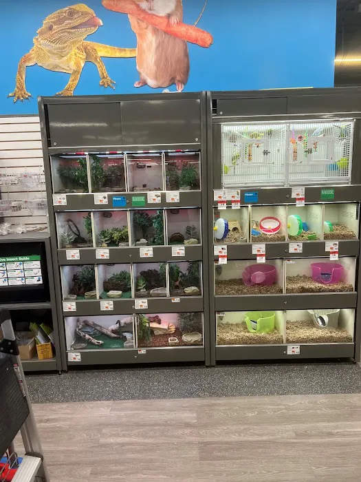 Pet Supplies Plus Grand Blanc Picture 10
