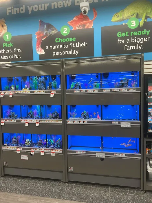 Pet Supplies Plus Grand Blanc Picture 1