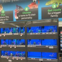 Pet Supplies Plus Grand Blanc ico