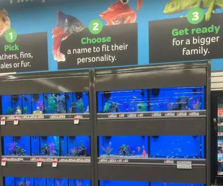 Pet Supplies Plus Grand Blanc
