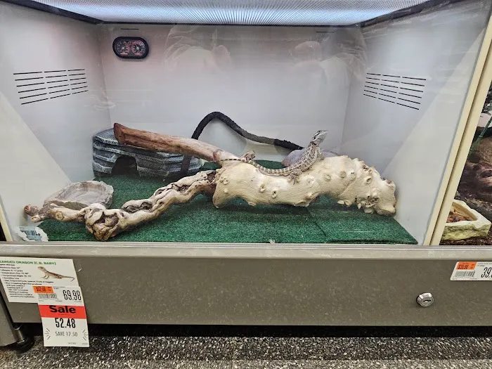 Pet Supplies Plus Grand Blanc Picture 3