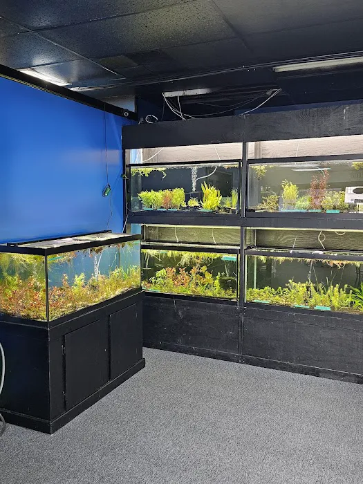 Aquatic Innovation Picture 9