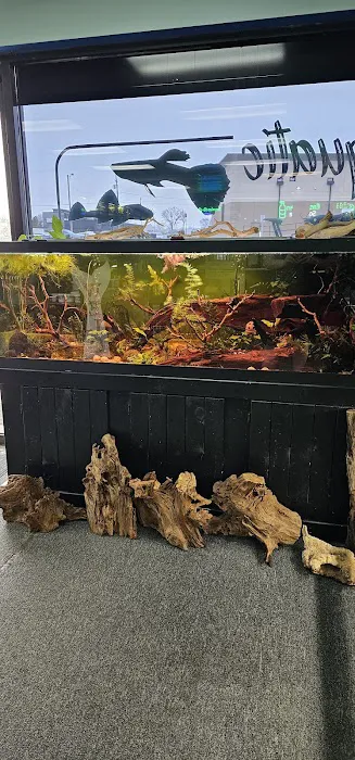 Aquatic Innovation Picture 8