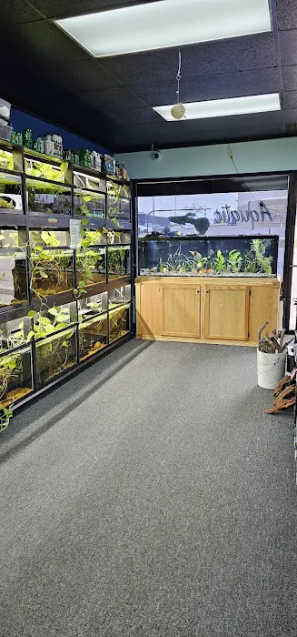 Aquatic Innovation Picture 4