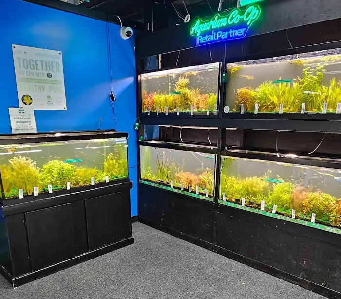Aquatic Innovation Picture 6