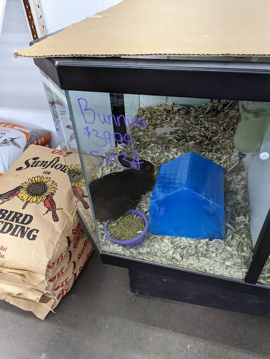 Magoo's Pet Outlet Picture 4