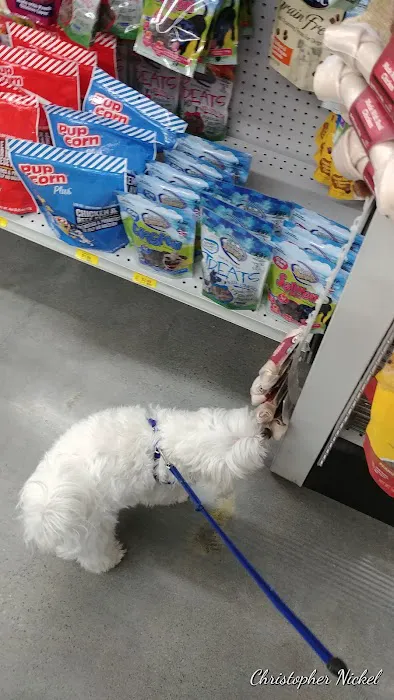 Magoo's Pet Outlet Picture 6