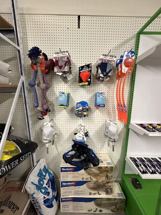 Riverview Pet Store Picture 1