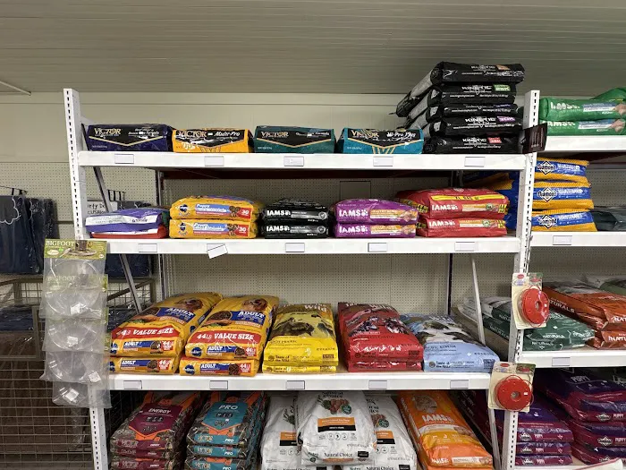 Riverview Pet Store Picture 10