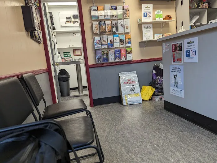 Essex Animal Hospital Picture 8