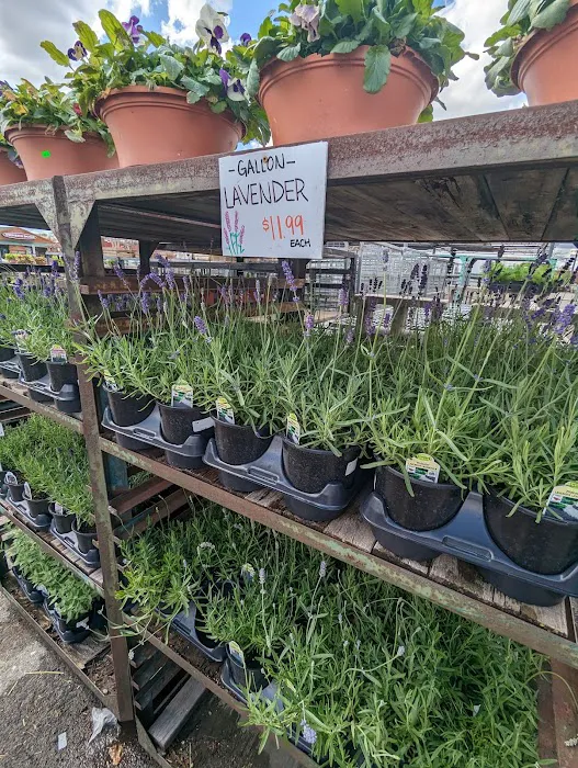 Harvest Time Farm Market Picture 8