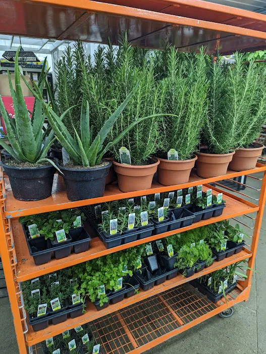 Harvest Time Farm Market Picture 9