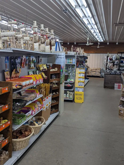 Harvest Time Farm Market Picture 4