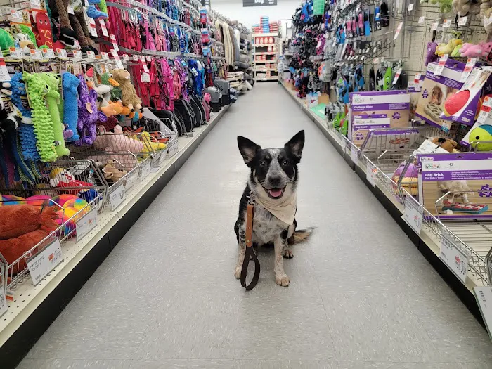 Pet Supplies Plus Oxford Picture 8