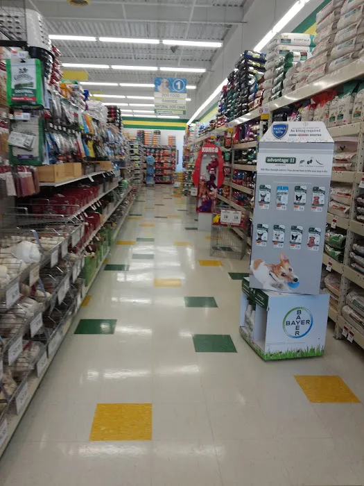 Pet Supplies Plus Oxford Picture 3