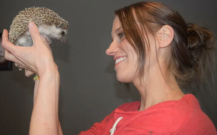 Muddy Creek Hedgehogs LLC Picture 4