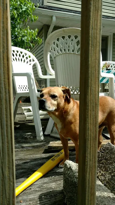 Cedar Grove Animal Hospital Picture 3