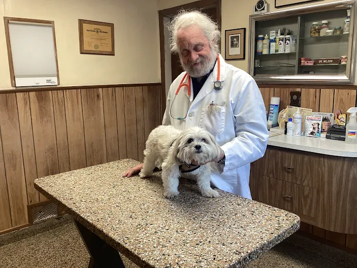 Cedar Grove Animal Hospital Picture 7