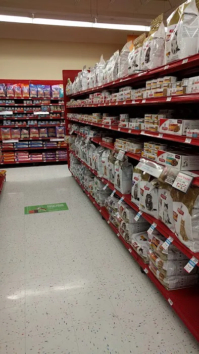 Petco Picture 2