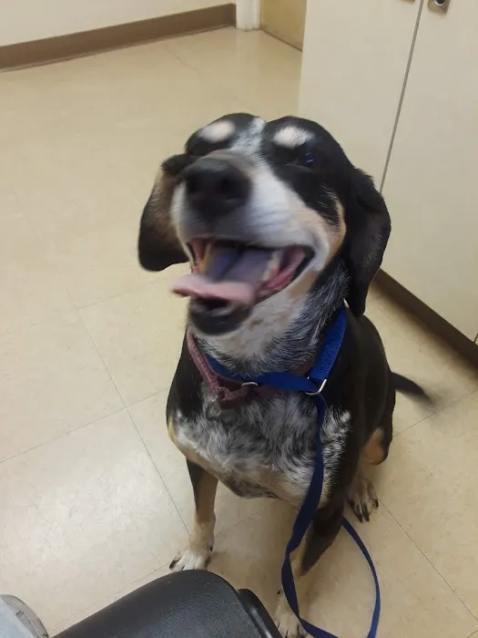 Montclair Animal Hospital Picture 1