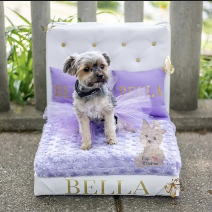 Pups In Cradle Picture 5