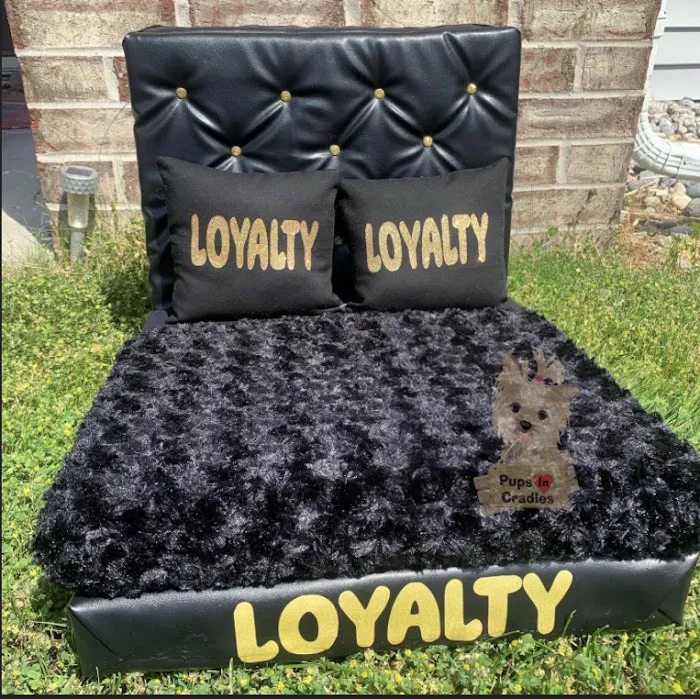 Pups In Cradle Picture 9