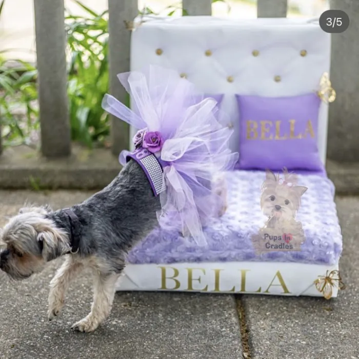 Pups In Cradle Picture 7