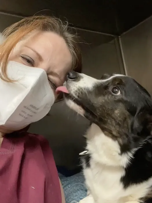 Katz & Dogs Animal Hospital Picture 3