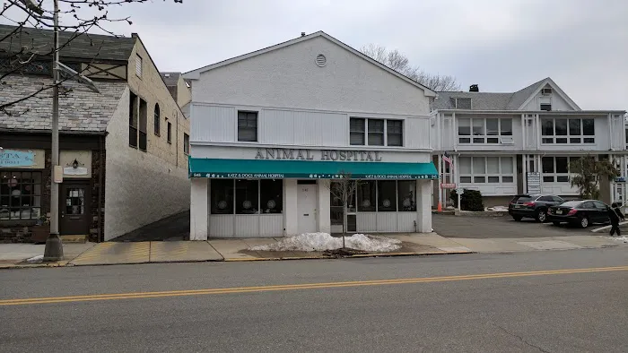 Katz & Dogs Animal Hospital Picture 5