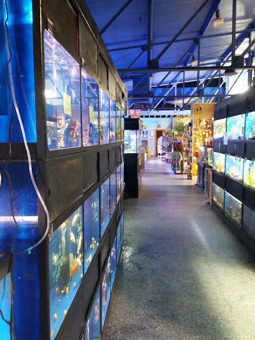 Preuss Pets Picture 2