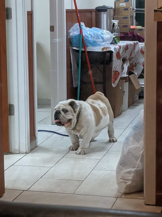 Belleville Animal Hospital Picture 7