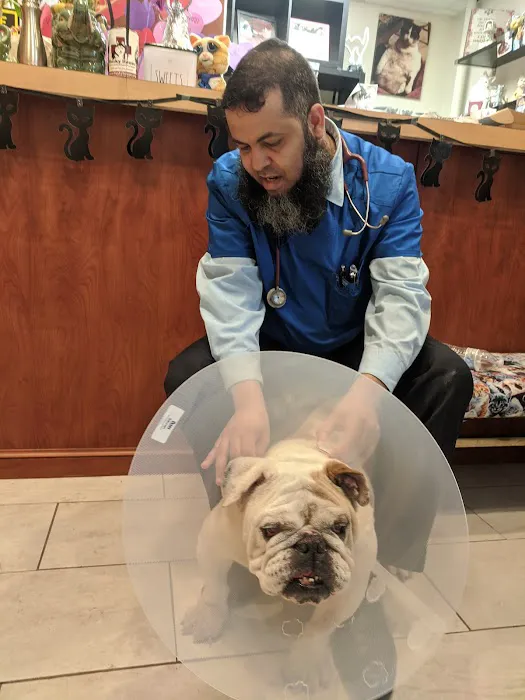 Belleville Animal Hospital Picture 3