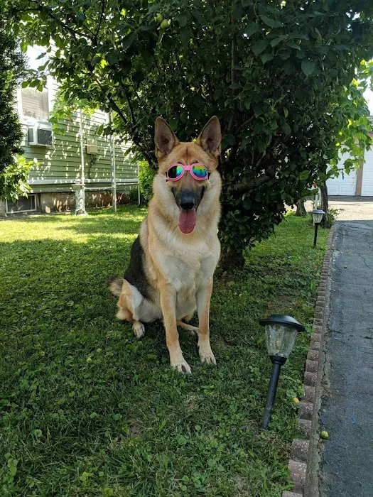 Belleville Animal Hospital Picture 1
