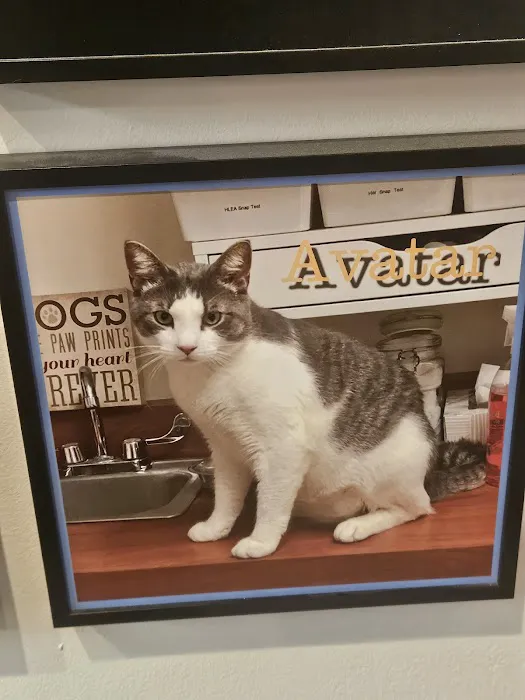 Belleville Animal Hospital Picture 10