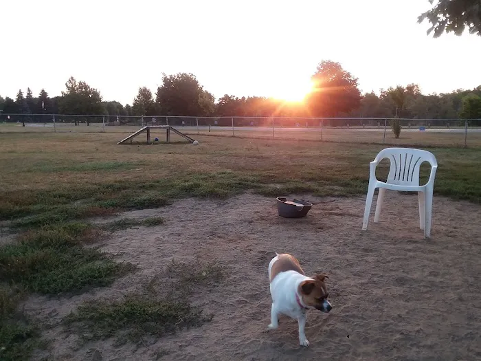 Fairview Pet Center Picture 8