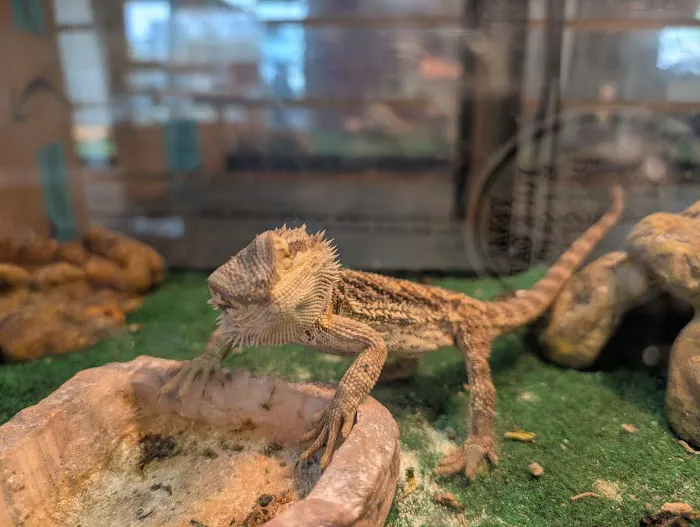 Fairview Pet Center Picture 2