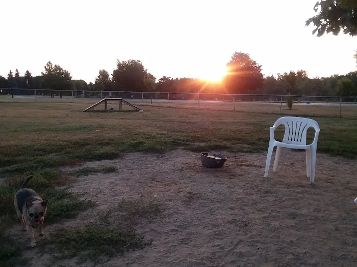 Fairview Pet Center Picture 7