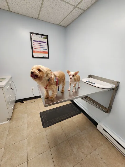 Ridge Road Animal Hospital Picture 7